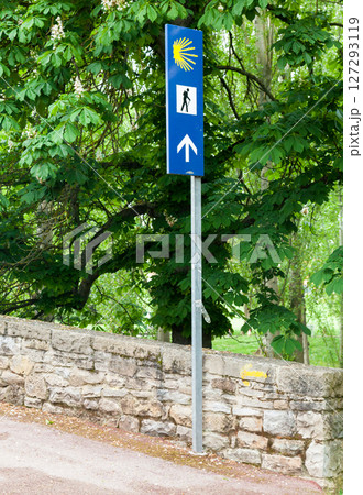 Sign marking the Camino de Santiago pilgrimage route in a lush wooded area under bright daylight Sign marking the Camino de Santiago pilgrimage route in a lush wooded area under bright daylight 127293119