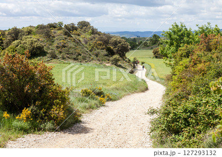 Winding trail through the lush French Pyrenees on the Camino de Santiago journey Winding trail through the lush French Pyrenees on the Camino de Santiago journey 127293132