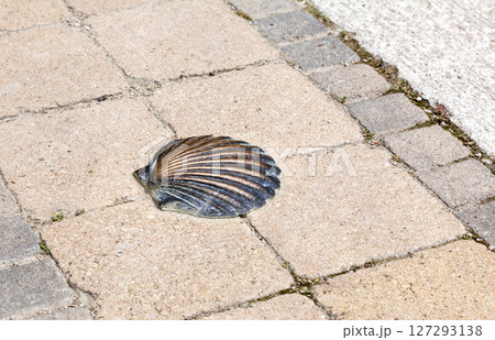 A bronze shell embedded in a textured stone pathway at a historic pilgrimage site 127293138