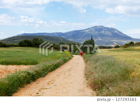 A person walking along a dirt path in a green landscape under a blue sky near a mountain A person walking along a dirt path in a green landscape under a blue sky near a mountain 127293163