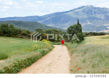 A person walking along a dirt path in a green landscape under a blue sky near a mountain A person walking along a dirt path in a green landscape under a blue sky near a mountain 127293164