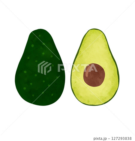アボカドの断面 水彩風手描きイラスト アボカドの断面 水彩風手描きイラスト 127293838
