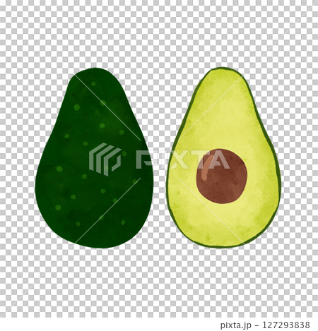 アボカドの断面 水彩風手描きイラスト アボカドの断面 水彩風手描きイラスト 127293838
