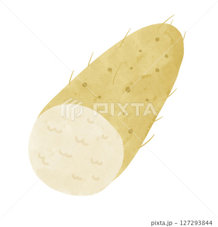 山芋の断面 水彩風手描きイラスト 山芋の断面 水彩風手描きイラスト 127293844