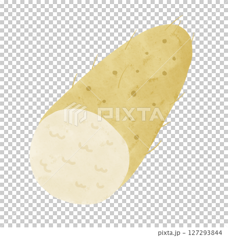 山芋の断面 水彩風手描きイラスト 山芋の断面 水彩風手描きイラスト 127293844