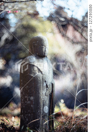 阿玉台貝塚梅林のお地蔵様 阿玉台貝塚梅林のお地蔵様 127293880