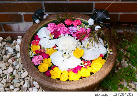 7939 花手水 7939 花手水 127294202