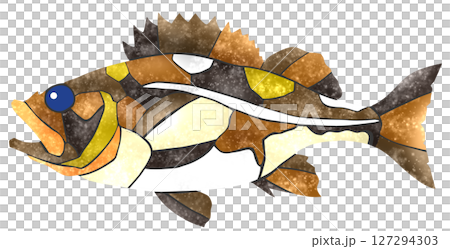 一幅可愛的郵票式剪紙插圖,描繪了鹹水魚柳侏儒魚 一幅可愛的郵票式剪紙插圖,描繪了鹹水魚柳侏儒魚 127294303