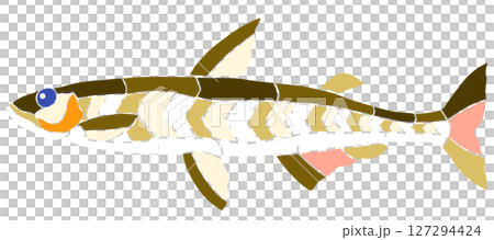 A beautiful mosaic-style cutout illustration of a freshwater fish, smelt 127294424