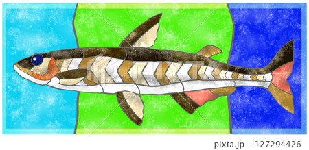 淡水魚ワカサギのカラフルタイル画風切り絵イラスト背景有り 127294426