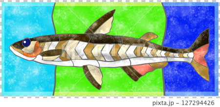 淡水魚ワカサギのカラフルタイル画風切り絵イラスト背景有り 127294426