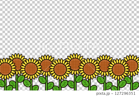 Sunflower field illustration material 127296351