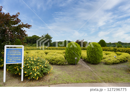 船橋市アンデルセン公園の花壇の風景 127296775