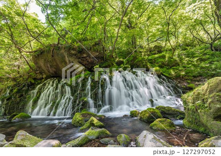 初夏の元滝伏流水と元滝川の流れ　秋田県にかほ市 127297052
