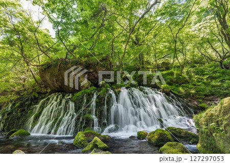 初夏の元滝伏流水と元滝川の流れ　秋田県にかほ市 127297053