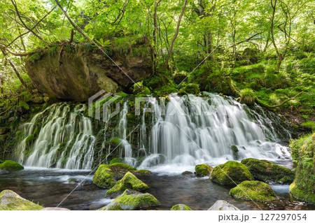 初夏の元滝伏流水と元滝川の流れ 秋田県にかほ市 初夏の元滝伏流水と元滝川の流れ 秋田県にかほ市 127297054
