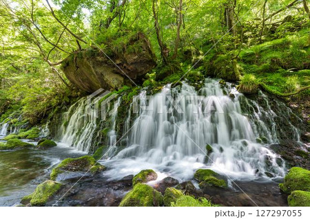 初夏の元滝伏流水と元滝川の流れ　秋田県にかほ市 127297055