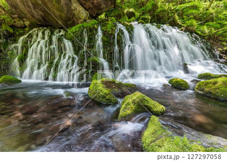 初夏の元滝伏流水と元滝川の流れ　秋田県にかほ市 127297058