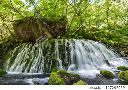 初夏の元滝伏流水と元滝川の流れ　秋田県にかほ市 127297059