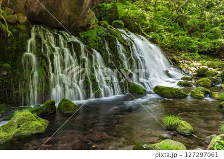 初夏の元滝伏流水と元滝川の流れ 秋田県にかほ市 初夏の元滝伏流水と元滝川の流れ 秋田県にかほ市 127297061