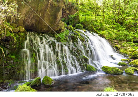 初夏の元滝伏流水と元滝川の流れ　秋田県にかほ市 127297065