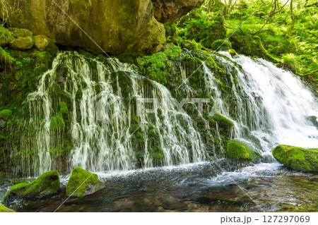 初夏の元滝伏流水と元滝川の流れ　秋田県にかほ市 127297069