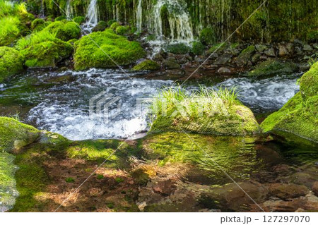 初夏の元滝伏流水と元滝川の流れ　秋田県にかほ市 127297070