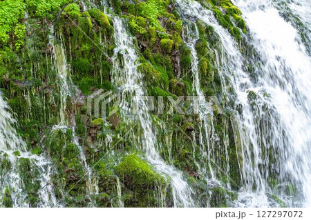 初夏の元滝伏流水と元滝川の流れ　秋田県にかほ市 127297072