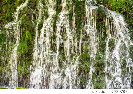 初夏の元滝伏流水と元滝川の流れ 秋田県にかほ市 初夏の元滝伏流水と元滝川の流れ 秋田県にかほ市 127297073