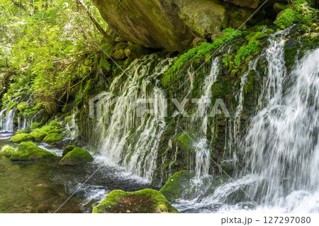 初夏の元滝伏流水と元滝川の流れ　秋田県にかほ市 127297080