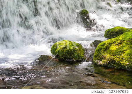 初夏の元滝伏流水と元滝川の流れ　秋田県にかほ市 127297085
