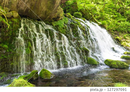 初夏の元滝伏流水と元滝川の流れ　秋田県にかほ市 127297091
