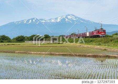 初夏の水田地帯を走る貨物列車と鳥海山 山形県遊佐町 初夏の水田地帯を走る貨物列車と鳥海山 山形県遊佐町 127297103