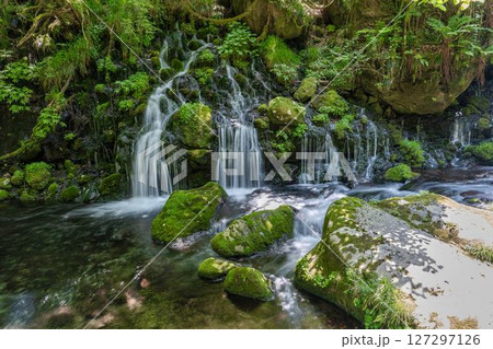 初夏の元滝伏流水と元滝川の流れ　秋田県にかほ市 127297126