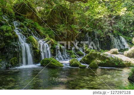 初夏の元滝伏流水と元滝川の流れ　秋田県にかほ市 127297128