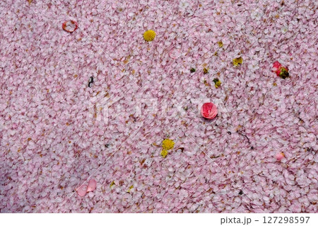 哲学の道の花筏の背景素材 127298597