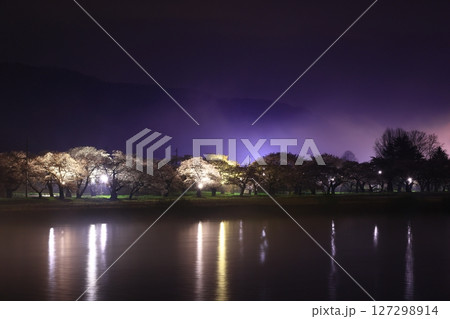 水面に映る夜桜 水面に映る夜桜 127298914