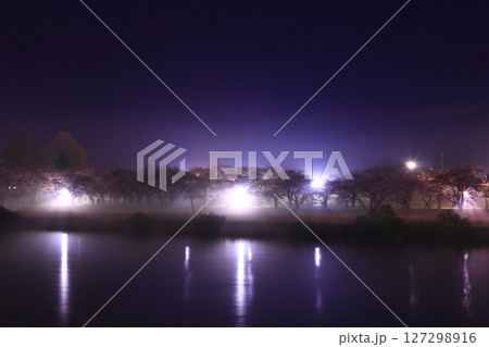水面に映る夜桜 127298916