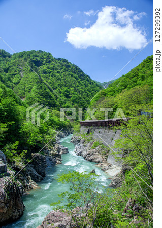 新緑の赤芝峡 新緑の赤芝峡 127299392