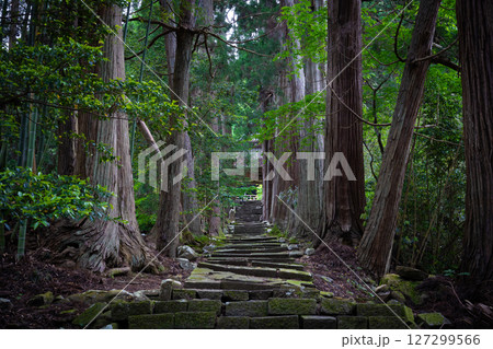 佐渡島　清水寺の参道 127299566