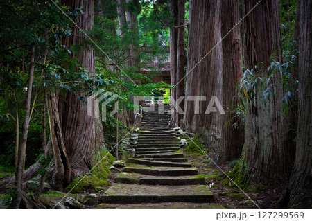佐渡島　清水寺の参道 127299569