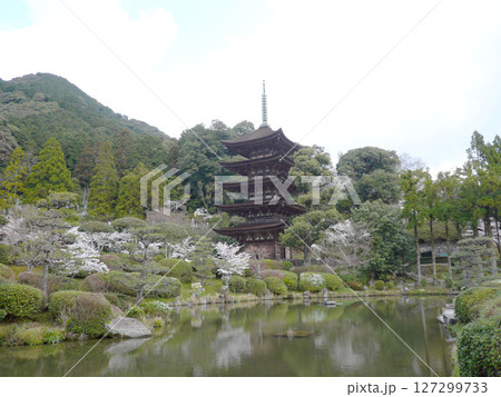 山口県山口市香山町にある曹洞宗の寺院で当初は香積寺、その後、仁保小高野から移設された瑠璃光寺 127299733
