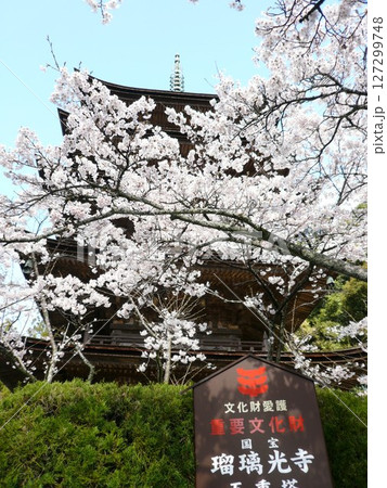 山口県山口市香山町にある曹洞宗の寺院で当初は香積寺、その後、仁保小高野から移設された瑠璃光寺 山口県山口市香山町にある曹洞宗の寺院で当初は香積寺、その後、仁保小高野から移設された瑠璃光寺 127299748