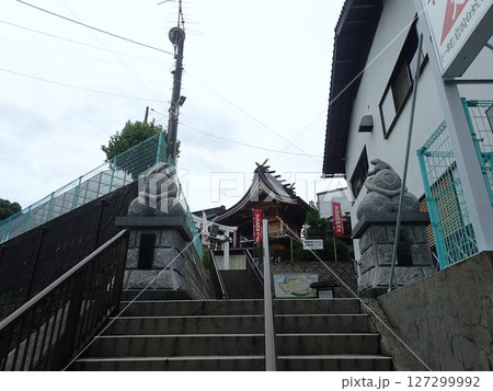 山口県岩国市にあり天然記念物の白蛇を御祭神の使いとして祀っており、白蛇資料館が併設されている白蛇神社 127299992