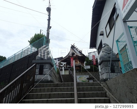 山口県岩国市にあり天然記念物の白蛇を御祭神の使いとして祀っており、白蛇資料館が併設されている白蛇神社 山口県岩国市にあり天然記念物の白蛇を御祭神の使いとして祀っており、白蛇資料館が併設されている白蛇神社 127299993