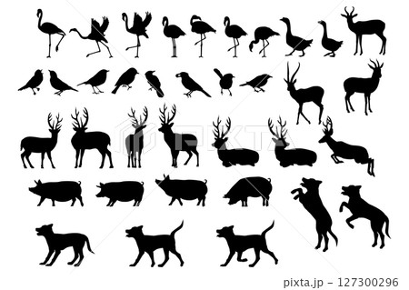 Animal Silhouette Illustration Set 127300296