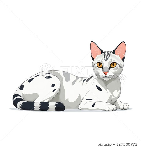 寝そべって休憩中の愛猫エジプシャンマウ 寝そべって休憩中の愛猫エジプシャンマウ 127300772