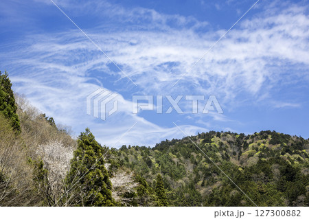 春、京北の山々が萌える四月の風景 127300882