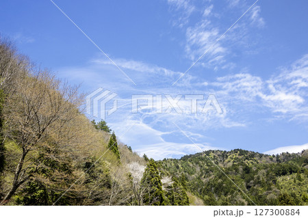 春、京北の山々が萌える四月の風景-3 春、京北の山々が萌える四月の風景-3 127300884