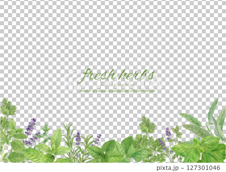 Frame background material decorated with watercolor herbs 127301046